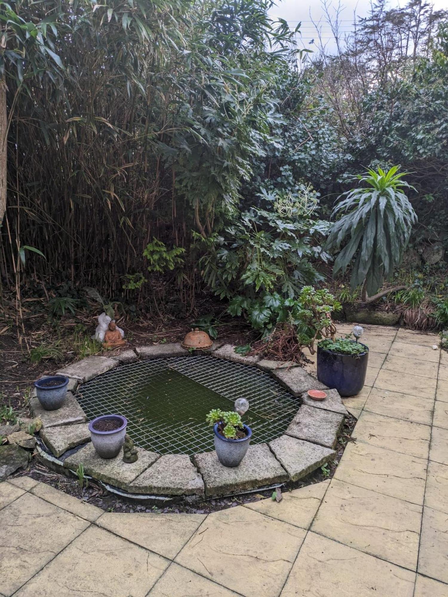 The Garden Apartment St Ives Εξωτερικό φωτογραφία